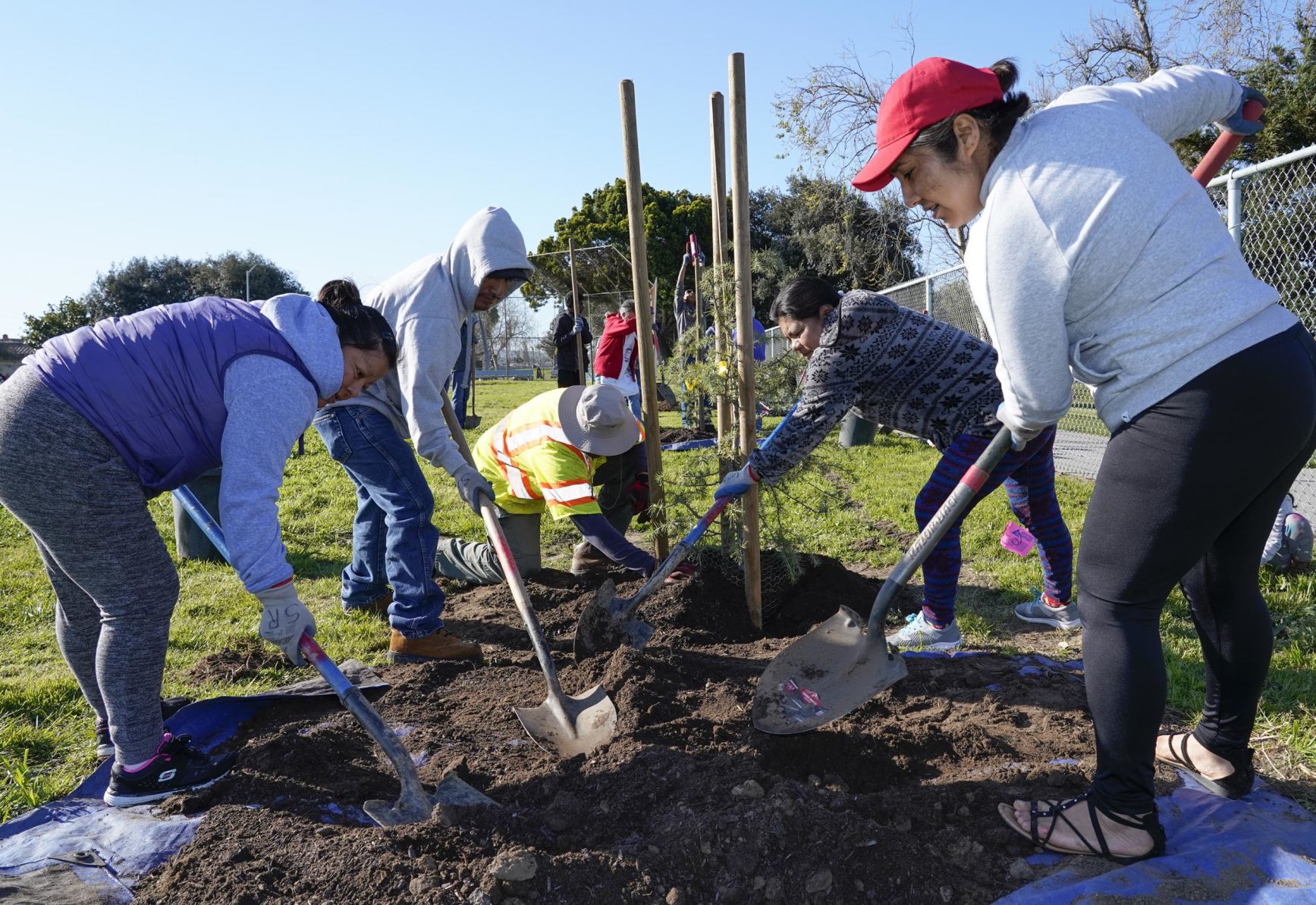 031619 Adam Elementary New Trees 05.jpg
